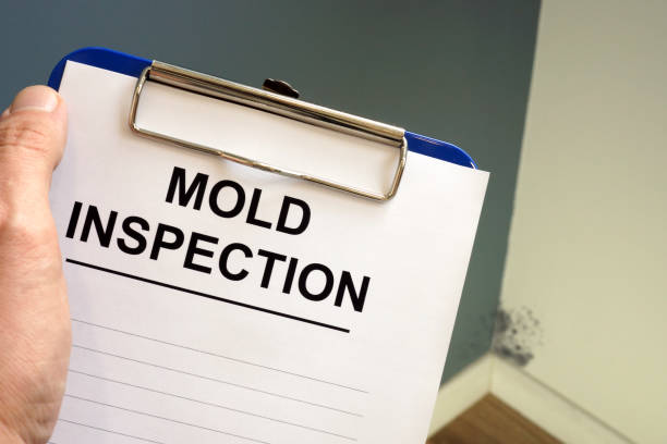 Best Mold Documentation for Insurance Claims  in Farm Loop, AK